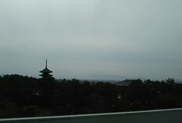 奈良県庁の写真・動画_image_539843