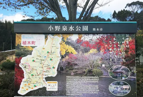 小野泉水公園の写真・動画_image_55838