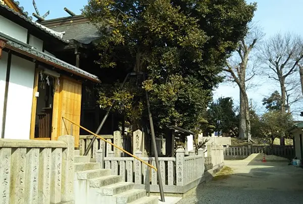 英賀神社の写真・動画_image_559393