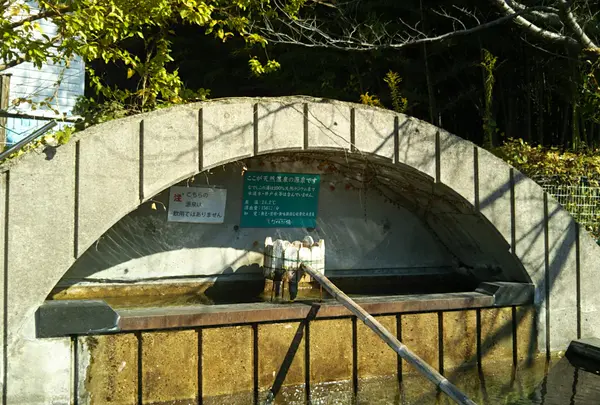 湯～モアリゾート 太山寺温泉なでしこの湯の写真・動画_image_574393