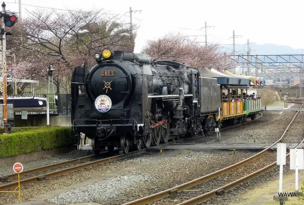JR西日本　梅小路蒸気機関車館