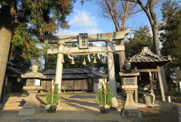 八坂神社の写真・動画_image_594510