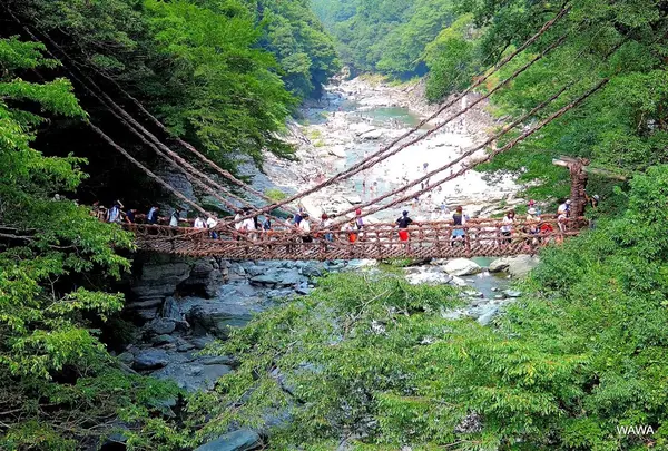 祖谷のかずら橋