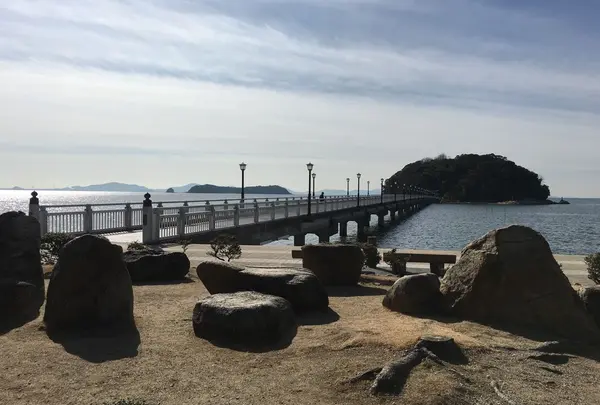 竹島海岸の写真・動画_image_60771
