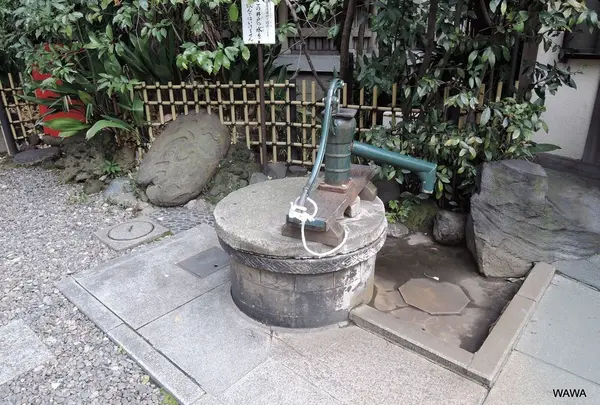 第六天榊神社の写真・動画_image_60881