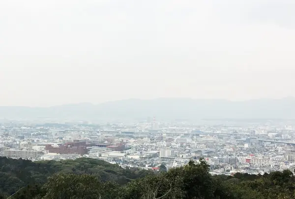 京都市内を一望