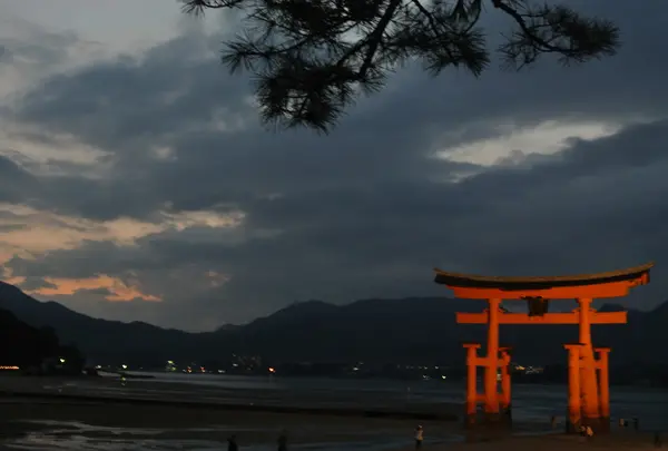 夜の大鳥居