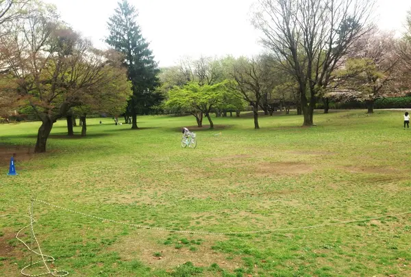 武蔵国分寺公園の写真・動画_image_71401