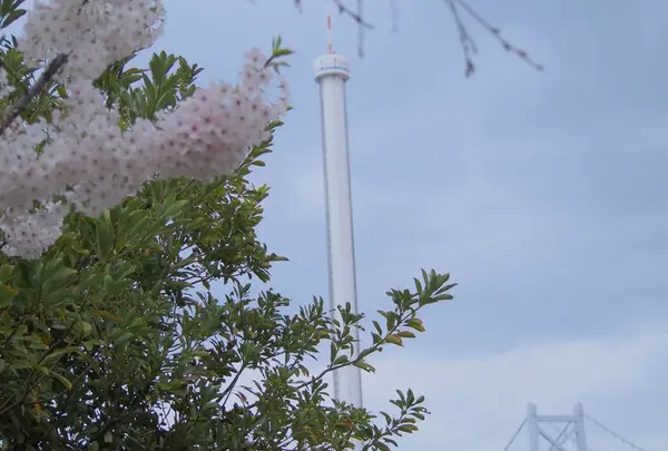 香川の景色を一望♡瀬戸大橋タワー