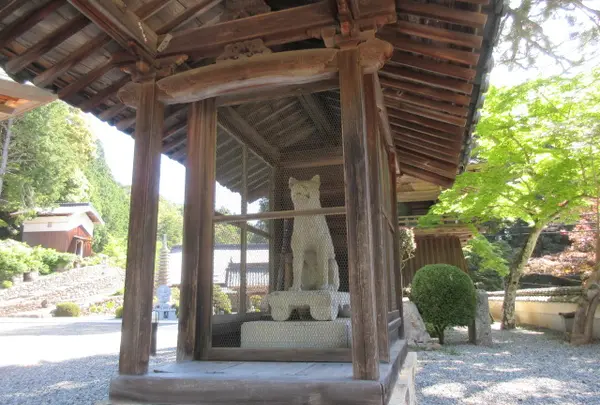 最後の願い