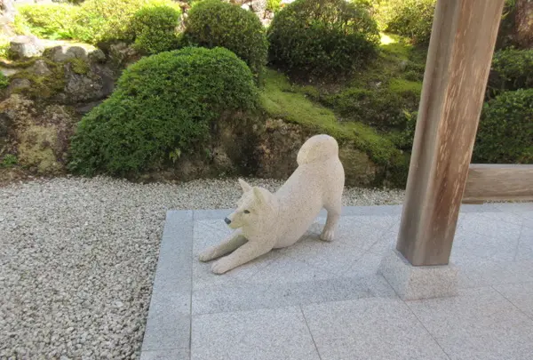 慌てて