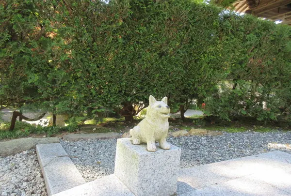 全て愛犬のために