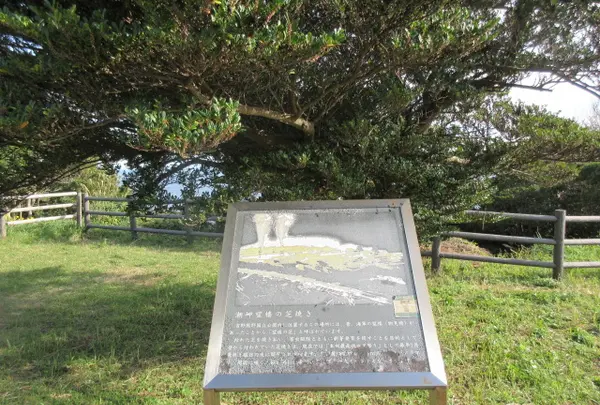 潮岬望楼の芝焼き