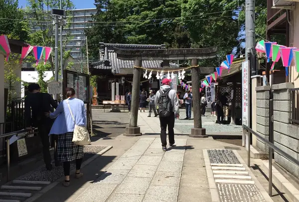 川越熊野神社の写真・動画_image_74443