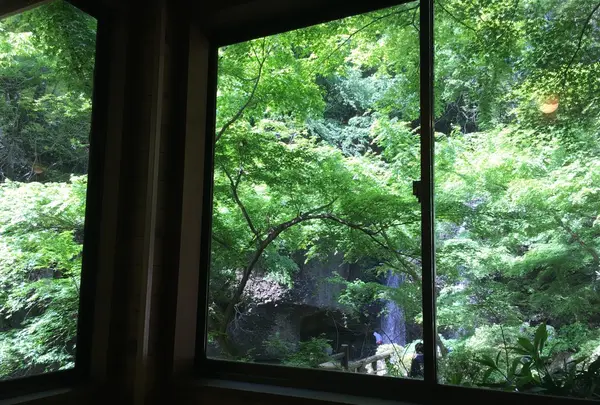 月待の滝の写真・動画_image_76505