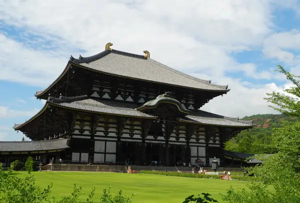 東大寺の写真・動画_image_7700