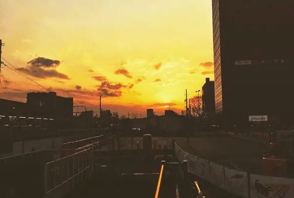 中野駅から向かって高円寺駅の方に陽が落ちる