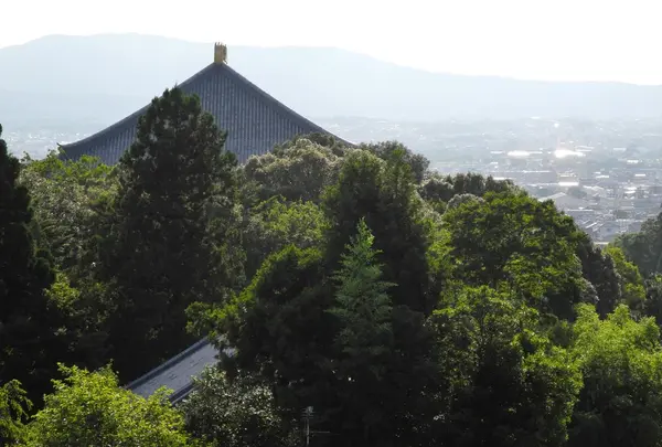 大仏殿の屋根が見えます
