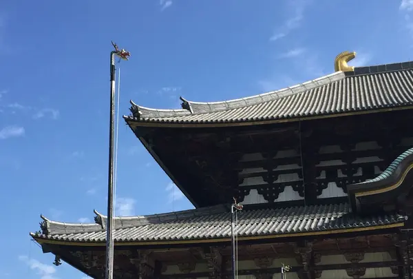 東大寺の写真・動画_image_79049