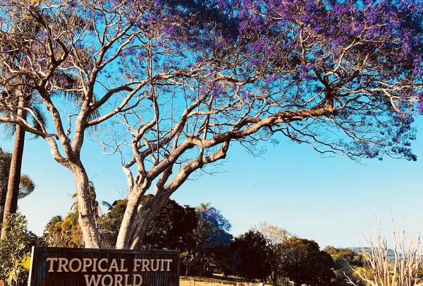 トロピカルフルーツワールドTropical Fruit World