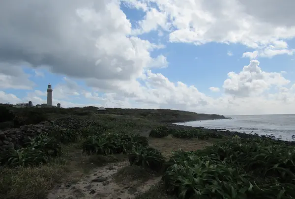 角島灯台　の写真・動画_image_1009285