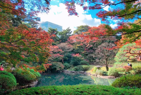 東京都庭園美術館の写真・動画_image_1051415