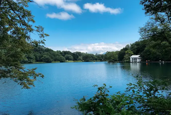 松原湖の写真・動画_image_1051519