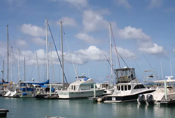 Agat Marina