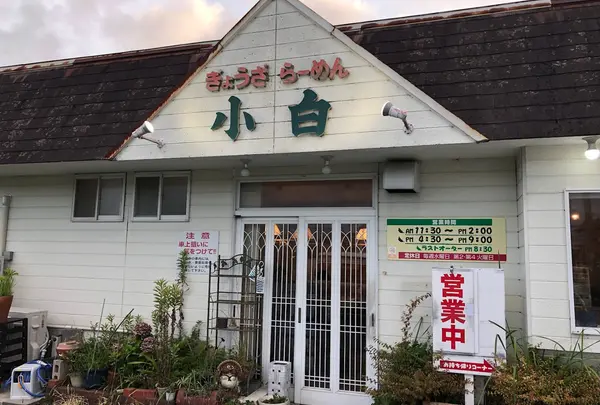 小白