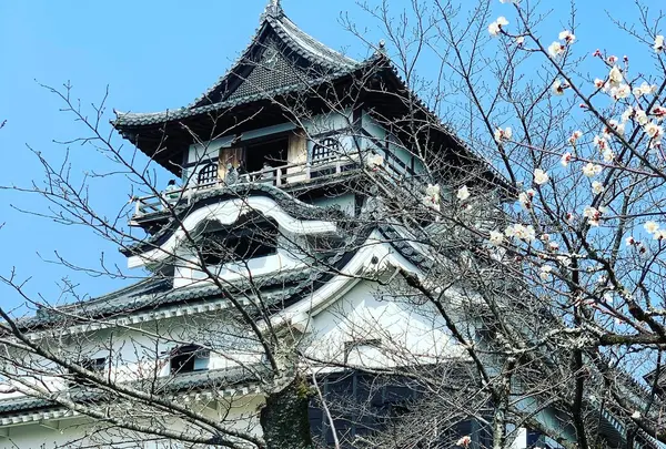犬山城の写真・動画_image_1075131