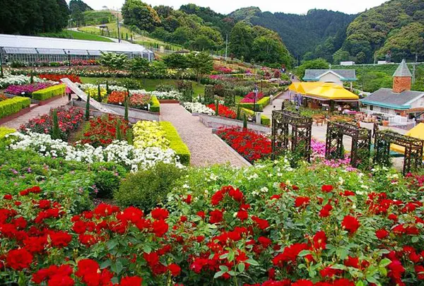 島田市ばらの丘公園