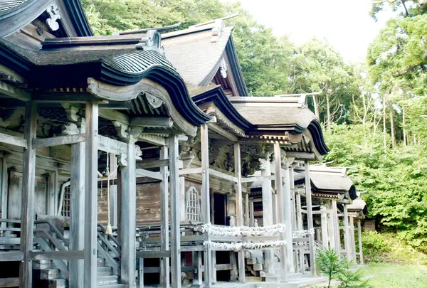 赤神神社五社堂の写真・動画_image_109528