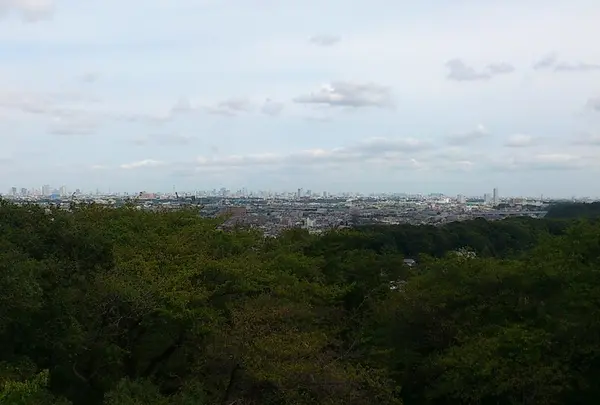 生田緑地公園