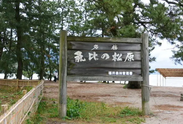 気比の松原