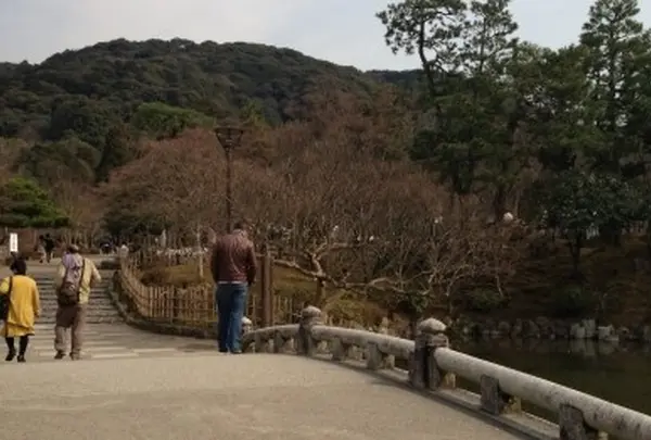 円山公園の写真・動画_image_112930