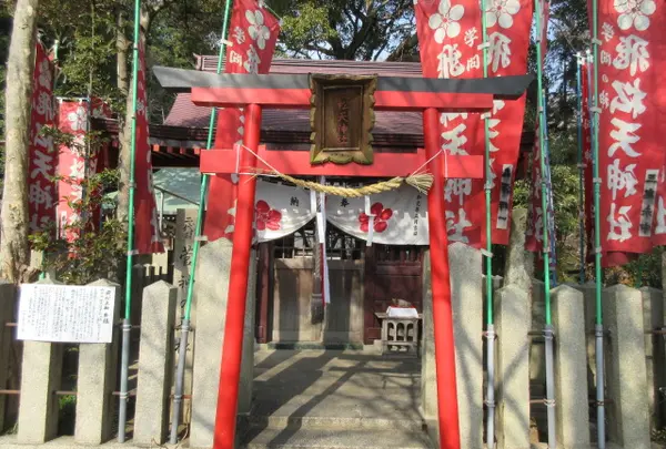 飛松天神社の写真・動画_image_1134922