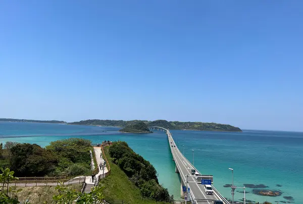角島大橋 (つのしまおおはし)の写真・動画_image_1146510
