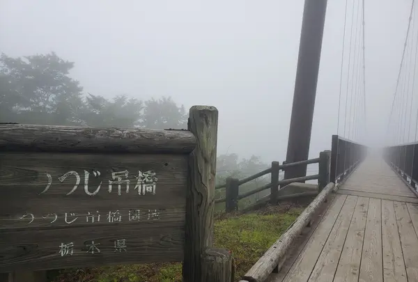 つつじ吊橋の写真・動画_image_1165813
