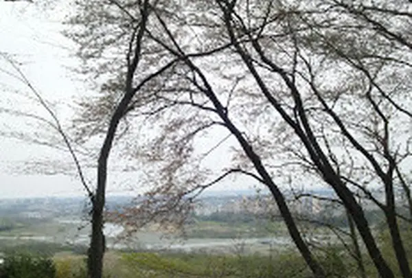 滝山城跡