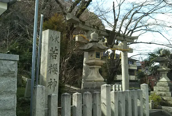 若櫻神社の写真・動画_image_1174613