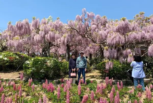 世羅幸水農園