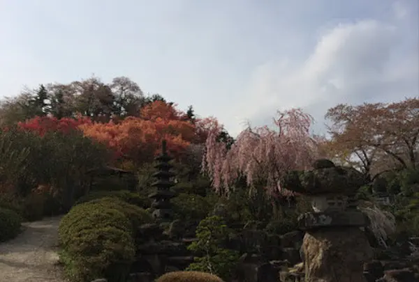 花見山