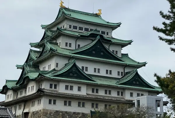 名古屋城の写真・動画_image_1211248