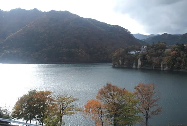 赤谷湖の写真・動画_image_122215