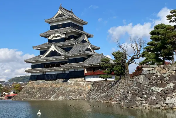 松本城の写真・動画_image_1226755