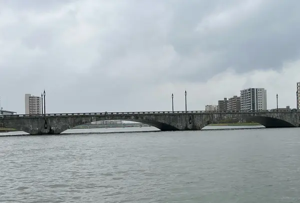 萬代橋の写真・動画_image_1228664