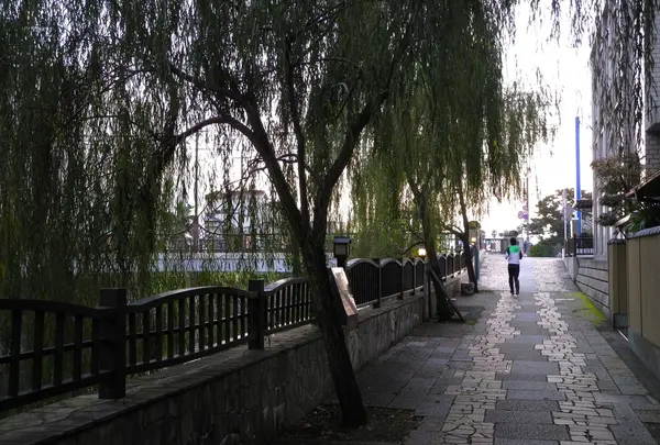 川沿いの散歩道の写真・動画_image_124757