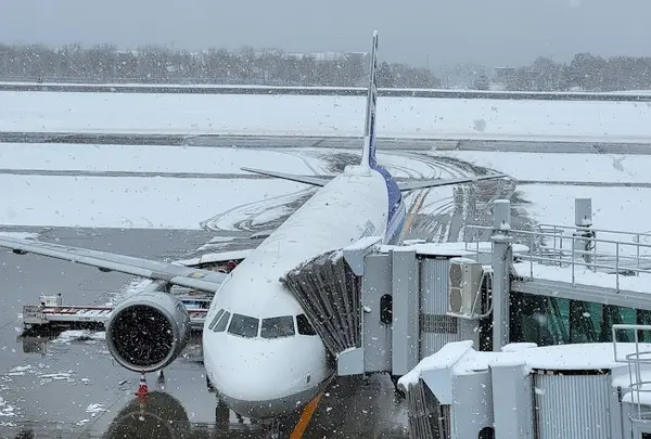 函館空港