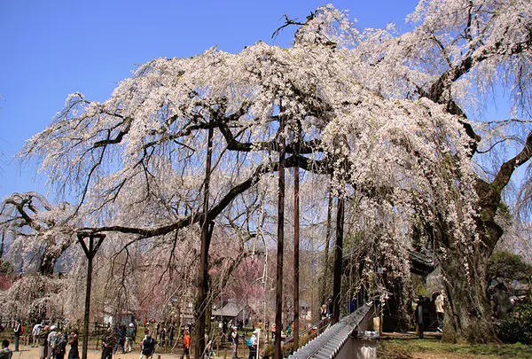 清雲寺