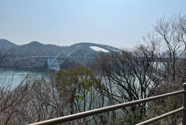 大三島橋の写真・動画_image_1306474